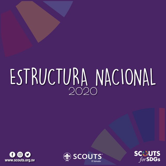 estructura_nacional_2020